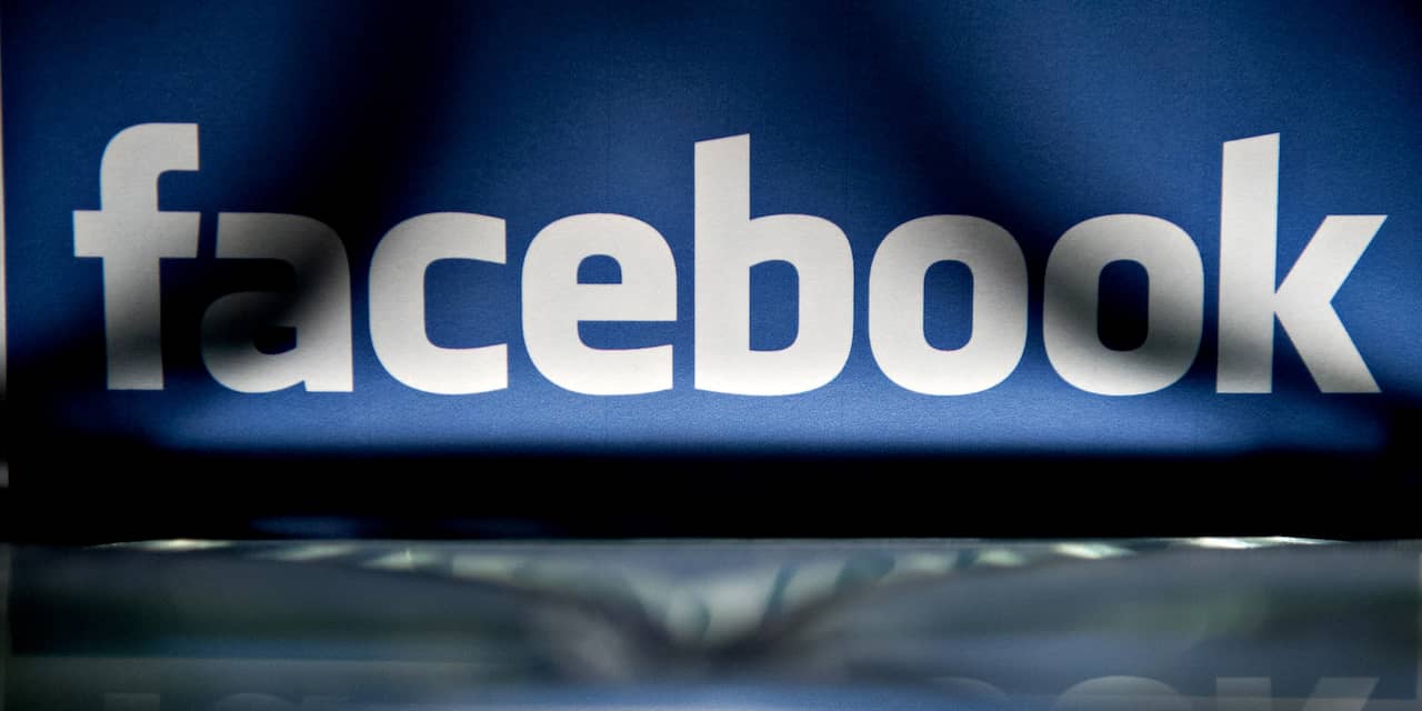 Franse Facebook-gebruiker wint slag in rechtszaak over naaktafbeelding