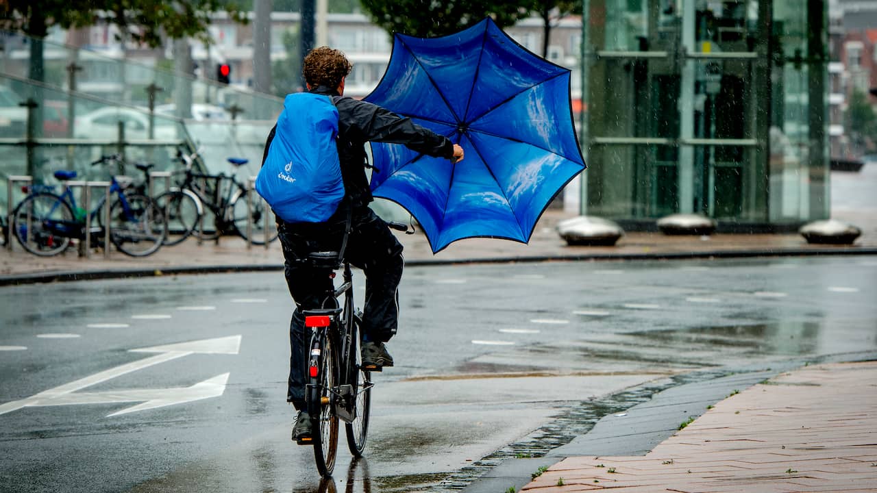 Weerbericht: Pittige Buien En Veel Wind, In Het Zuidwesten Vanavond ...