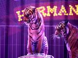 Dijksma wil verbod op wilde dieren in circus