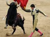 Spanje aanvaardt stierenvechtpetitie