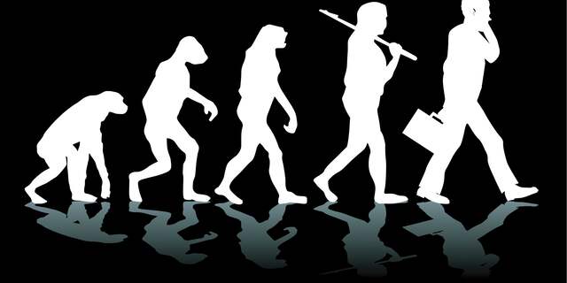 evolutie