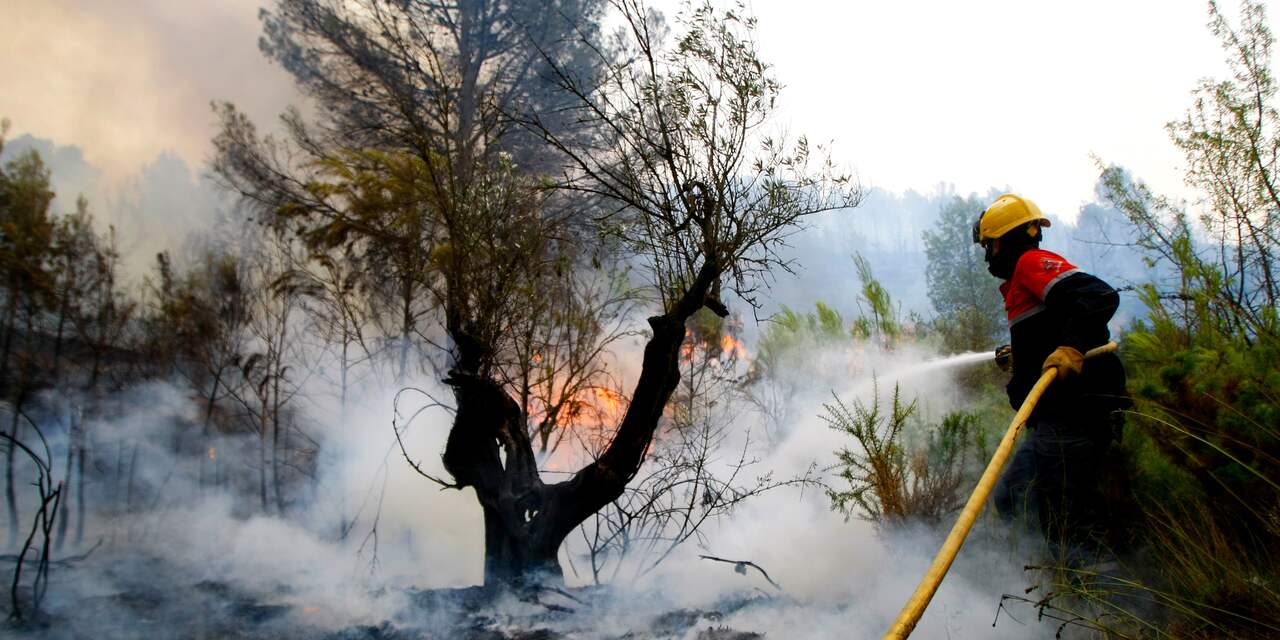Veenbrand in natuurgebied Overijssel