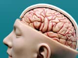 Belangrijke ontdekking in behandeling hersenletsel