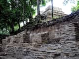 Een groep Mexicaanse wetenschappers heeft in het zuiden van Mexico een circa 2000 jaar oude tempel van de Maya's gevonden. 