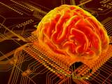 Google simuleert menselijk brein met duizend computers