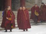 Vrijdag 9 maart: Tibetaanse monnikken in de sneeuw in het noordwesten van China. 