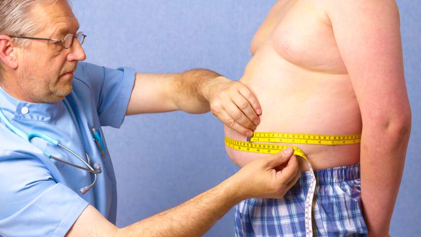 vet dik ongezond overgewicht obesitas