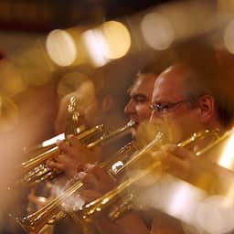 700 kaarthouders zien nieuwjaarsconcert in Wenen aan zich voorbijgaan