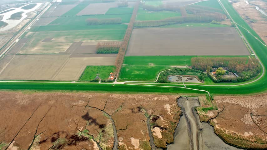 hedwigepolder
