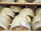 'Mensen maken al 7500 jaar kaas'