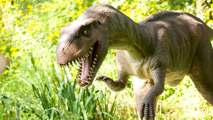 dinosaurussen