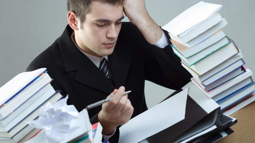 studeren werken solliciteren