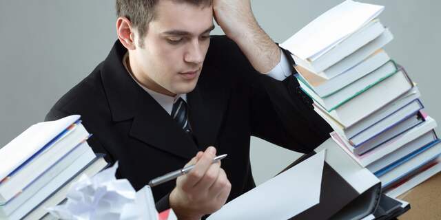 studeren werken solliciteren