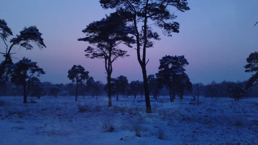 Strijbeekse Heide 17:13u