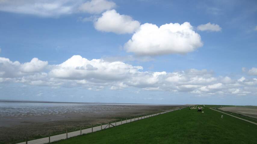 Lekker uitwaaien aan de Waddenkust / Friesland