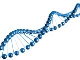 Herschrijfbaar DNA-geheugen als data-opslag