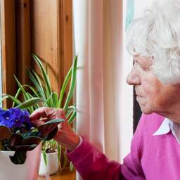Jong en oud samen in zorgflat: '75 jaar leeftijdsverschil, en toch vrienden'