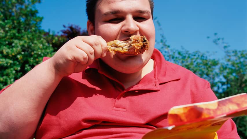 obesitas dik eten fastfood