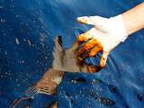 Oliebedrijf BP gaat schuld bekennen aan de ramp met het olieplatform Deepwater Horizon in 2010 en een enorme boete betalen.