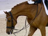 Olympisch paardenproject krijgt financiële impuls