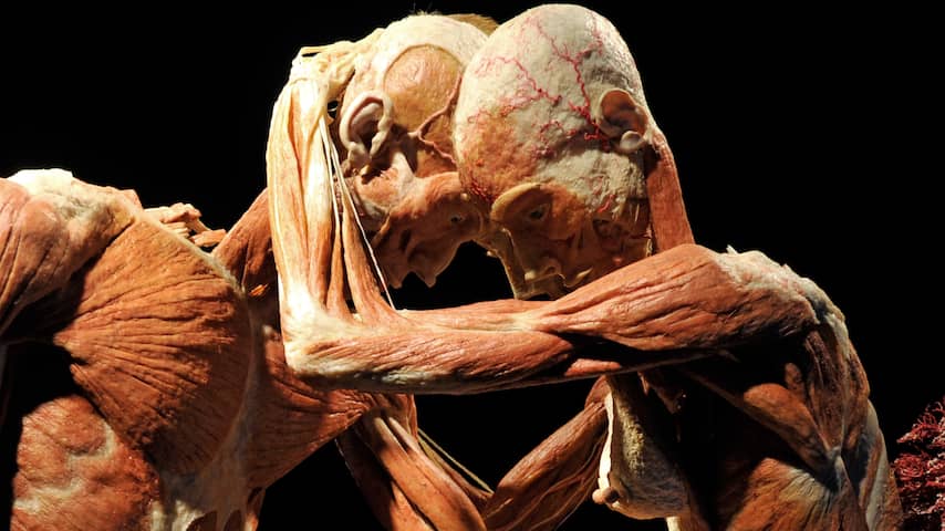 Expo 'Body Worlds & The Story of the Heart' in Amsterdam