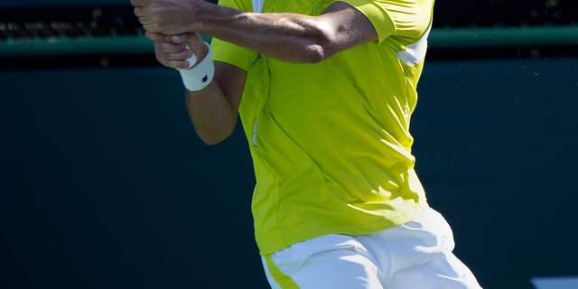 Robin Haase