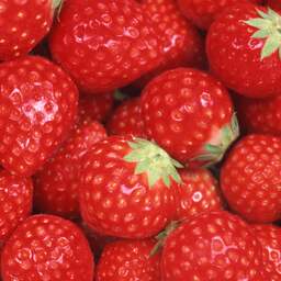 Ook Nieuw-Zeeland slaat alarm om naalden in aardbeien