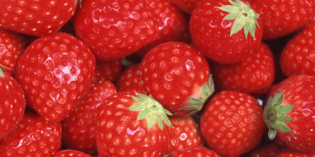 aardbei aardbeien
