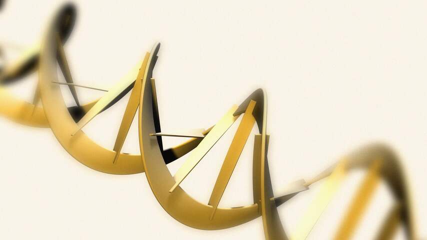 dna