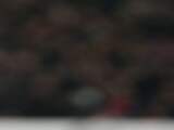 Ibrahimovic voor twee duels geschorst
