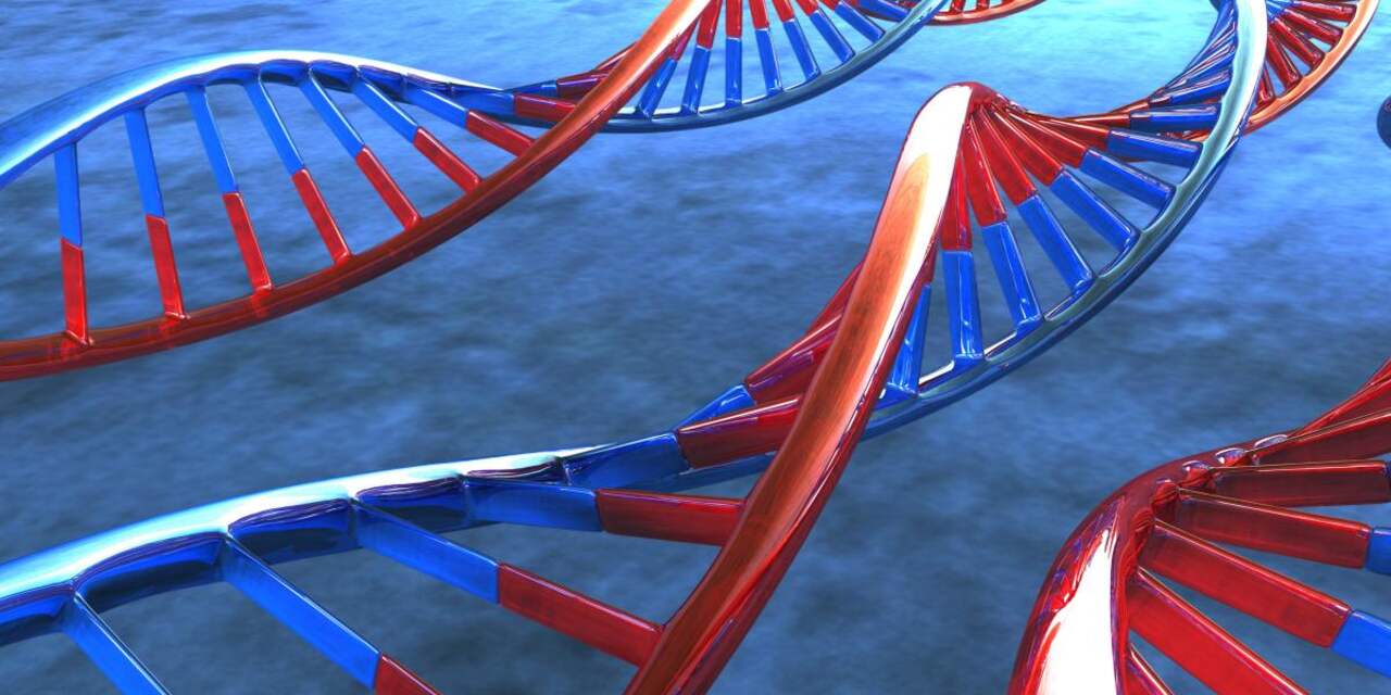 'Dubbele betekenis van DNA ontdekt' 
