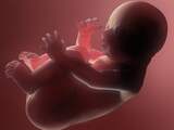 Baby's leren talen onderscheiden in baarmoeder