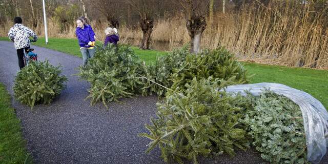 kerstboom