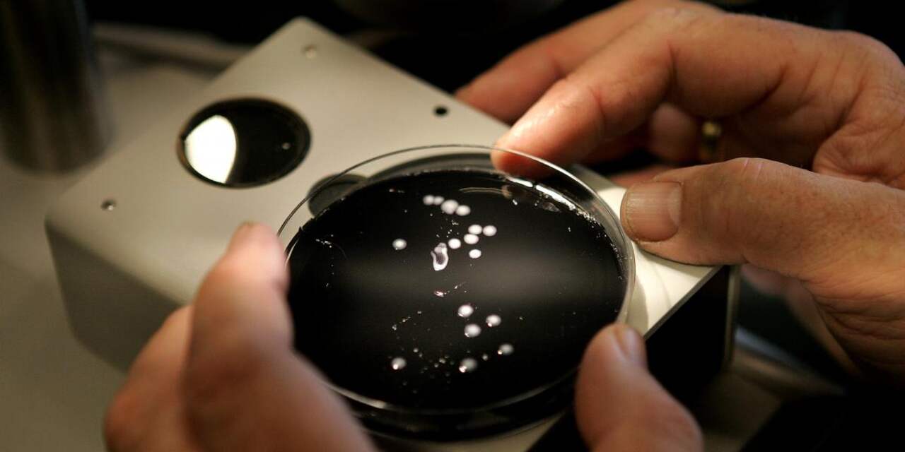 Legionella gevonden in waterleidingen Lunetten