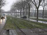 Kerst wordt druilerig en groen