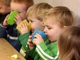 'Te veel regelzucht overheid kinderopvang'