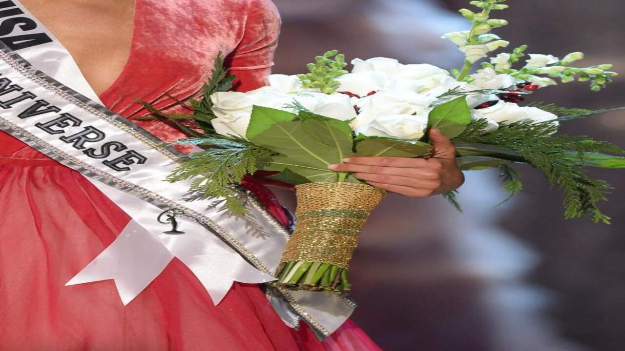 Открытки мисс вселенная