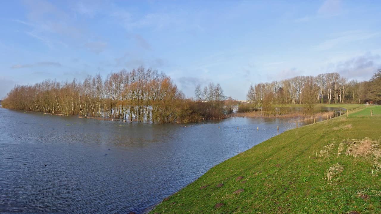 Overleden Man Gevonden Op Bospad Bij Hattem, Omwonenden Geschokt ...