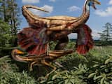 Uitgestorven op de Krijt-Tertiair-grens 66 miljoen jaar geleden: de dinosauriërs. 