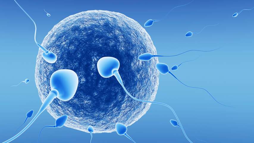 sperma