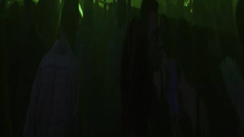 Lasers in nachtclub feest