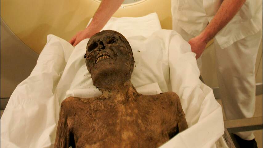 mummie