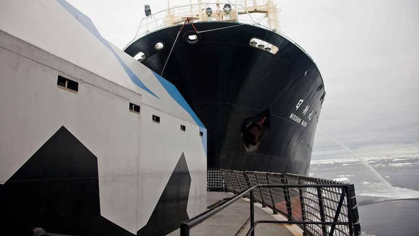 Nederland maant Japan en Sea Shepherd tot kalmte