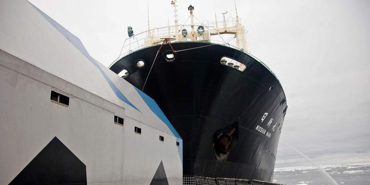Nieuw-Zeeland boos om actie walvisschip Japan