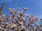 Franse economie groeit weer