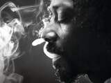 Snoop Lion - Reincarnated