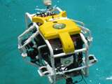 Wetenschappers halen geld op voor koraalherstelrobot