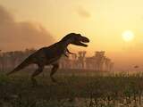 Zoogdieren geen nachtdieren meer na uitsterven dinosauriërs 