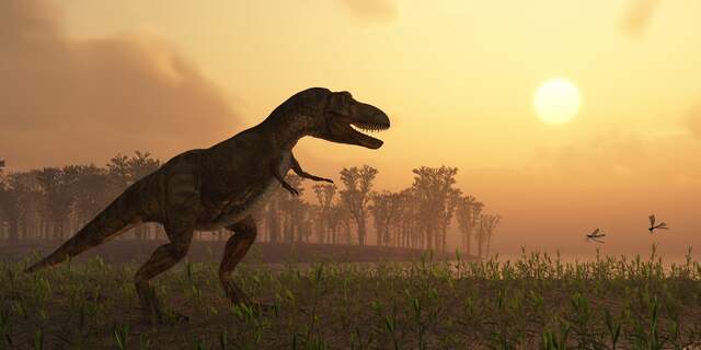dinosaurus