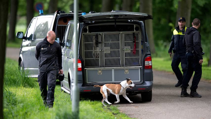 Zoektocht broertjes